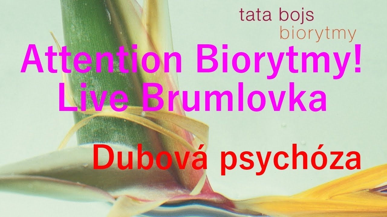 Tata Bojs - Dubov&aacute; psych&oacute;za (Attention Biorytmy! Live Brumlovka 14. 11. 2002 - ofici&aacute;ln&iacute; video)