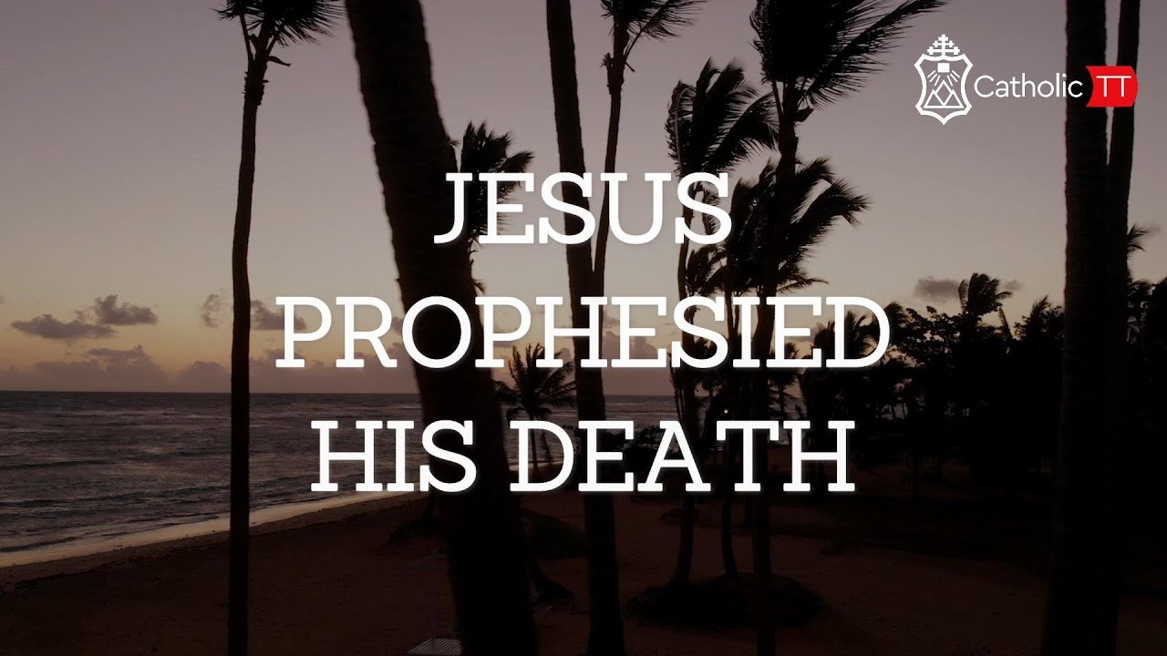 Daily Reflection 🇹🇹🇹🇹: Tuesday February 25, 2025 - Week 7 OT (C)