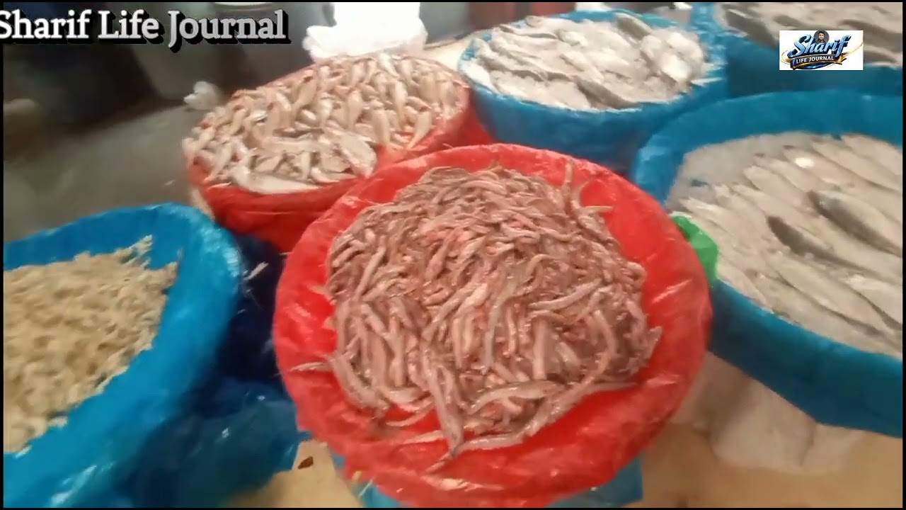 যাত্রাবাড়ী মাছ আড়ৎ | পর্ব ২ | Jatrabari fish wholesale market | Sharif Life Journal