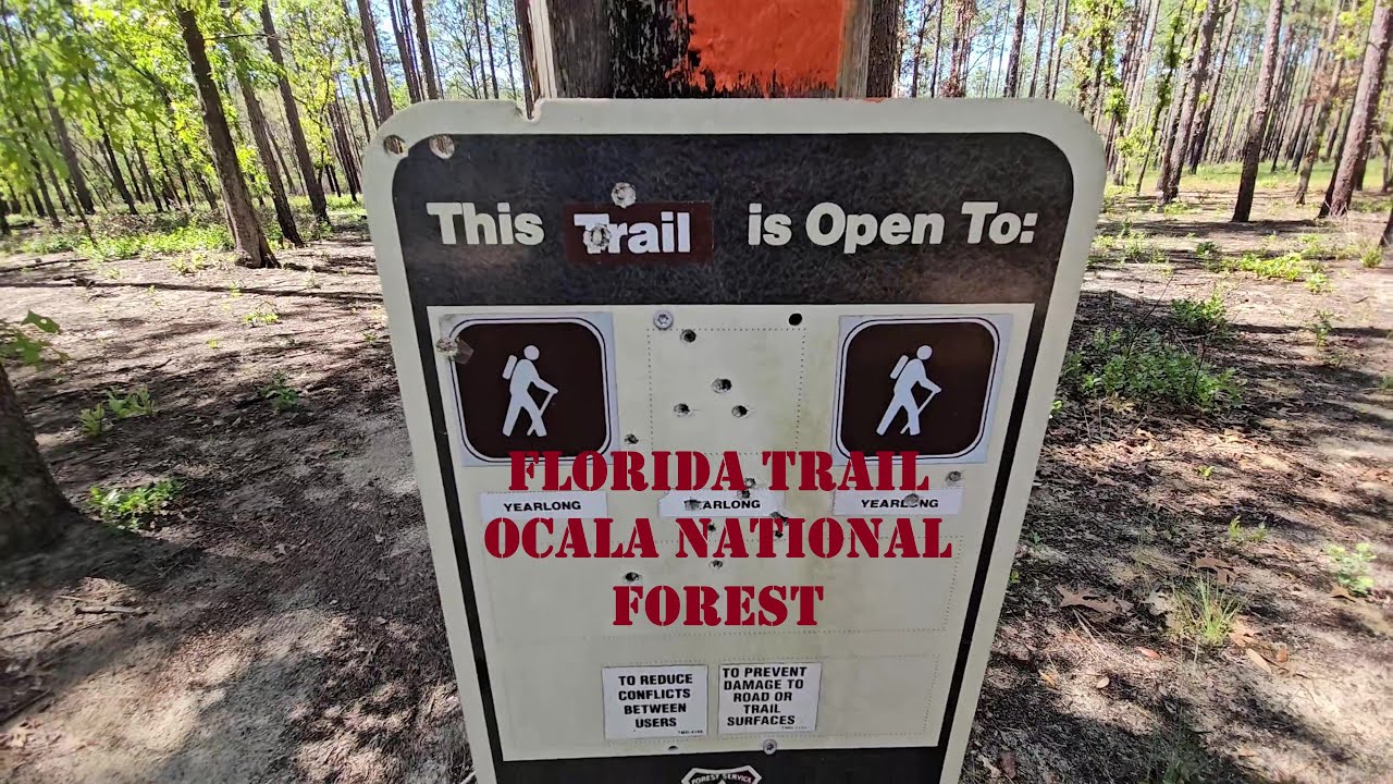 Backpacking the Florida Trail: Ocala National Forest 4K VIDEO