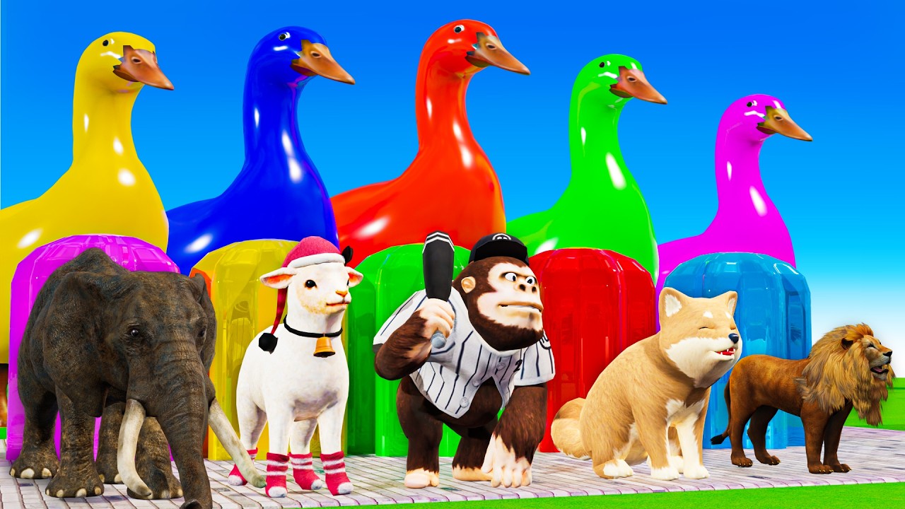 Long Slide Game With Cow Elephant Gorilla Hippopotamus Otter 3D Animal Game Funny 3D Animals