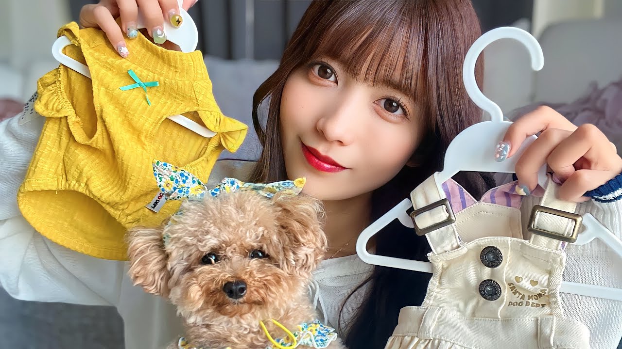 【5万円分】愛犬ぷぷの春服LOOKBOOK🌻❤︎【購入品紹介】