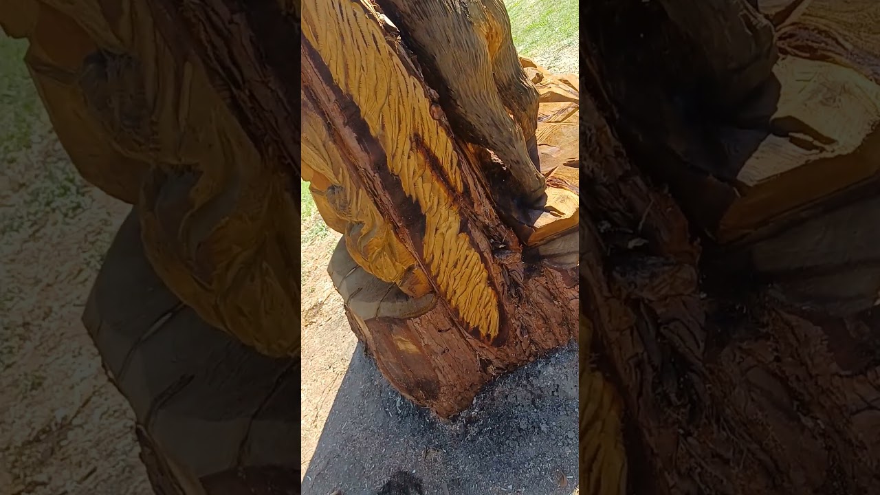 Sculpture MONUMENTALE Bestiaire: #woodworking #art #sequoia