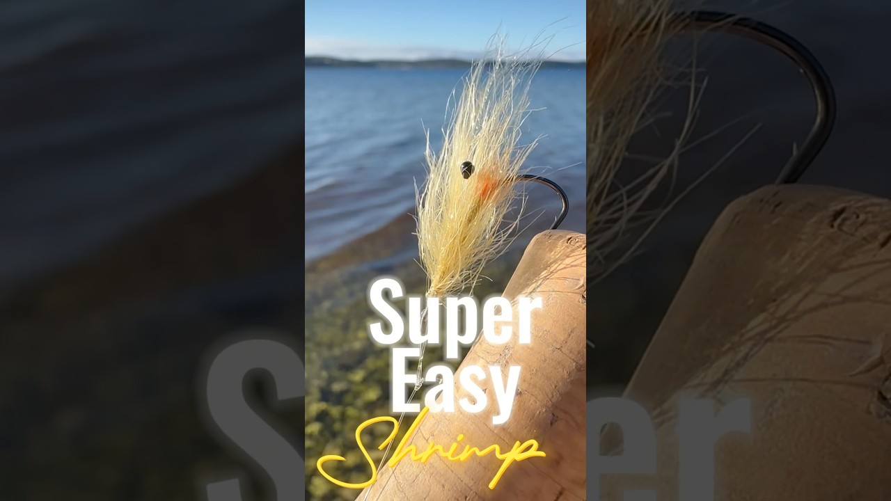 Super easy shrimp 🦐 Very easy to tie and super translucent.