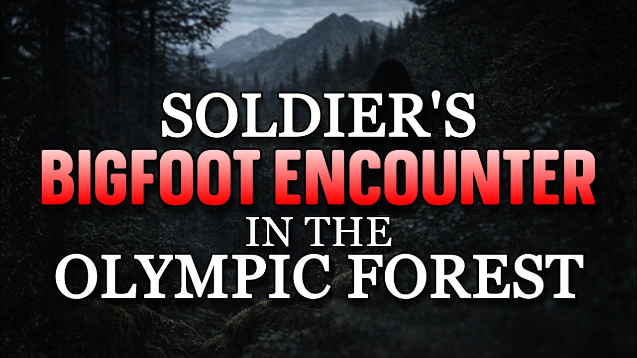 SOLDIERS BIGFOOT ENCOUNTER IN THE OLYPMIC FOREST