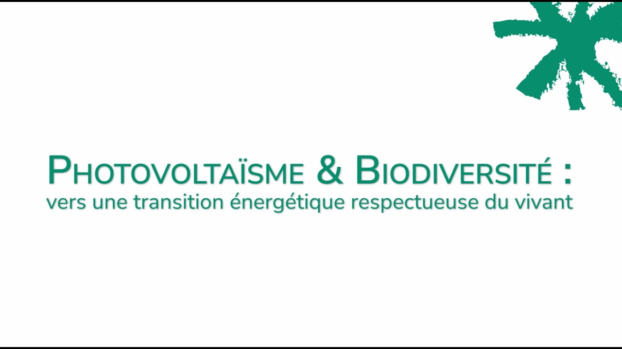Photovoltaïque & Biodiversité : vers une transition énergétique respectueuse du vivant