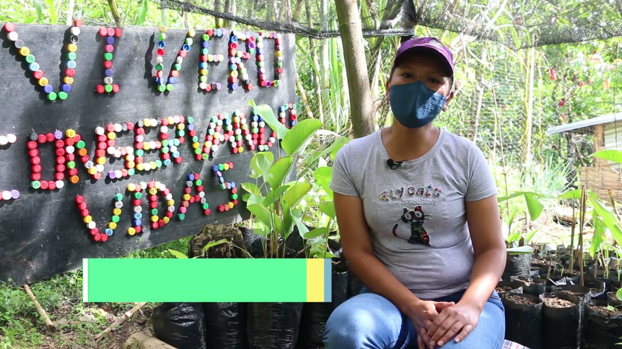 Viveros comunitarios, una experiencia para la conservación