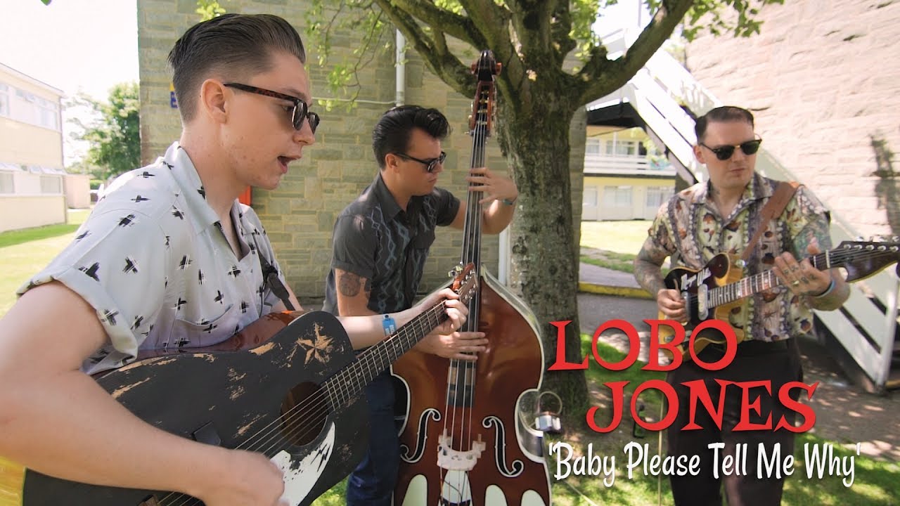 'Baby Please Tell Me Why' Lobo Jones & The Rhythm Hounds (bopflix sessions) BOPFLIX