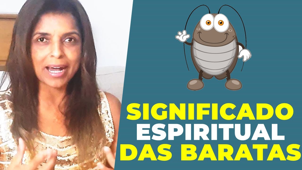 O Significado espiritual da Barata com a Vidente Vandinha Lopes