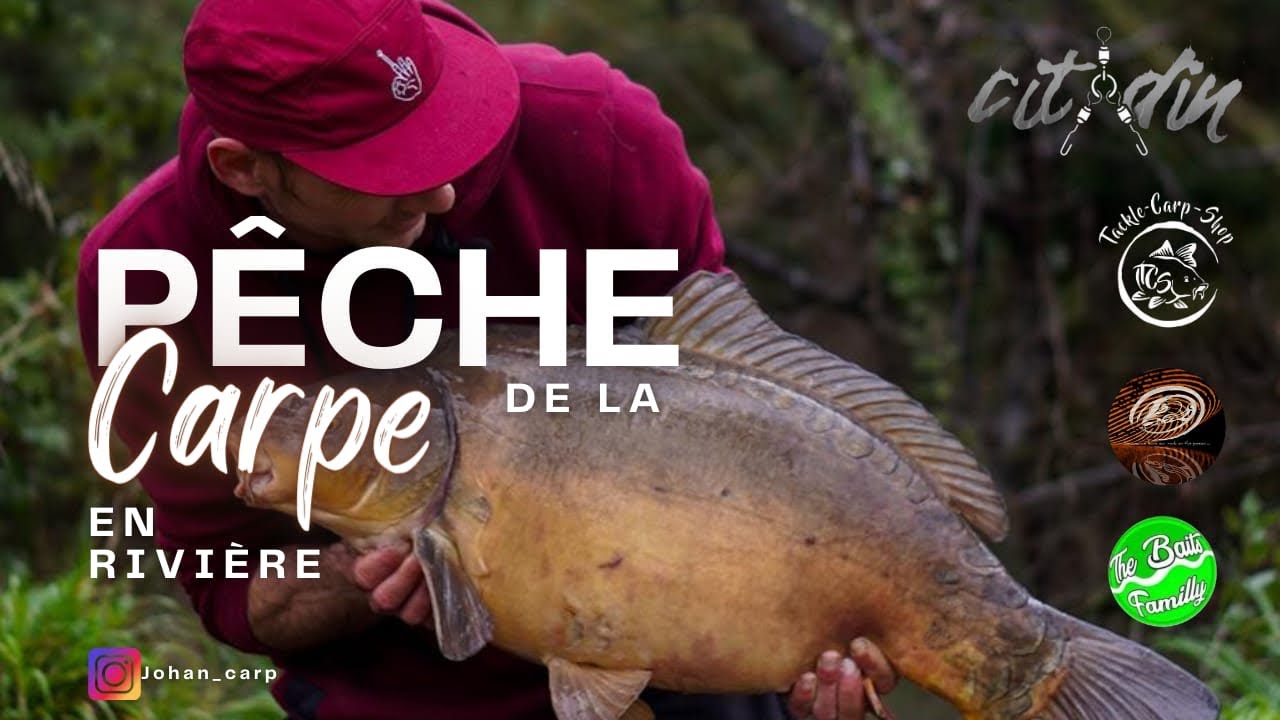 Petite peche rapide de la carpe en rivière