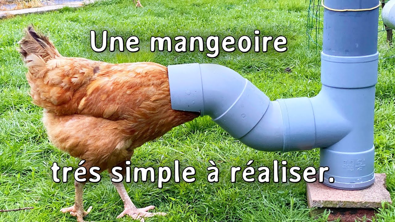 Mangeoire facile à réaliser. 1/5. Résiste aux intempéries. Anti-gaspi.