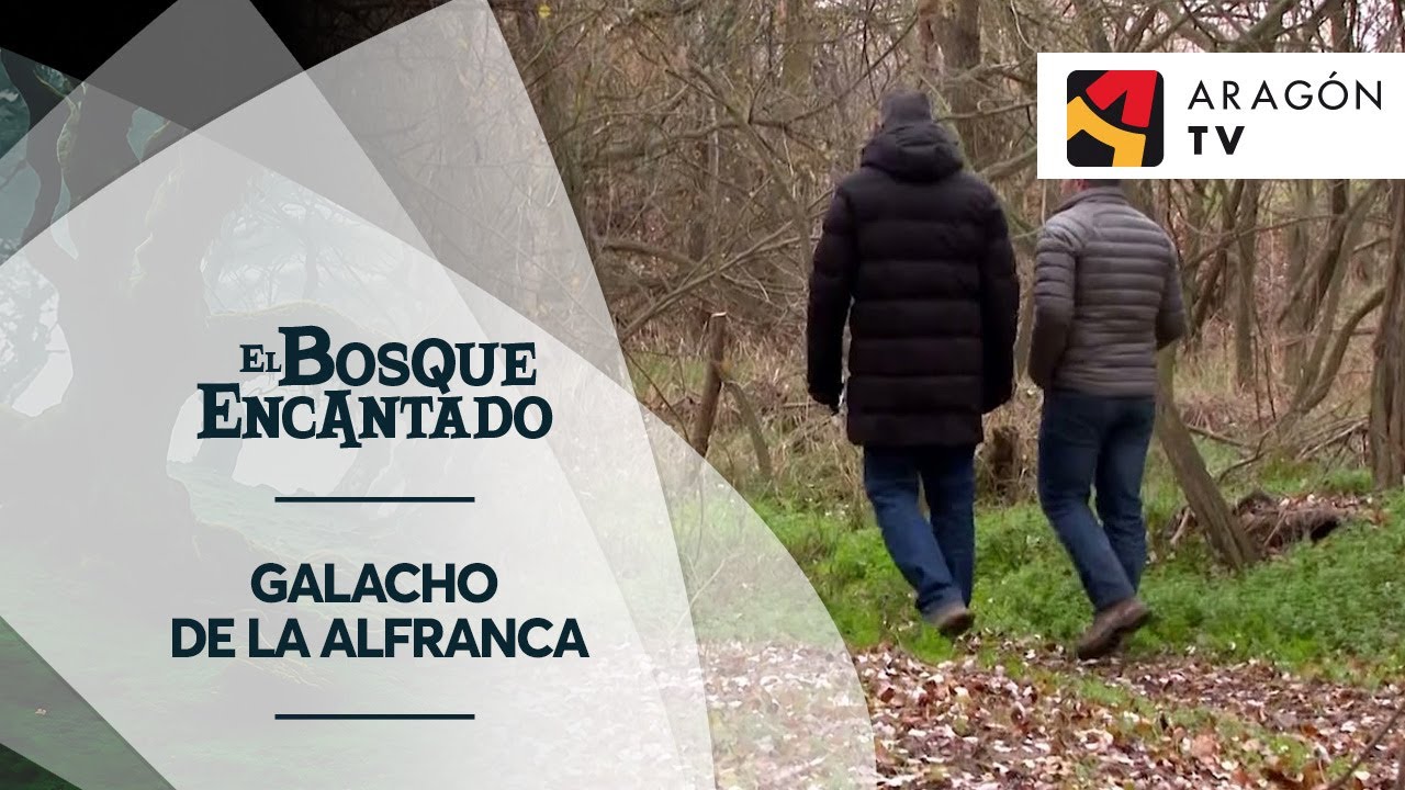Galacho de La Alfranca | LOS GALACHOS DEL EBRO