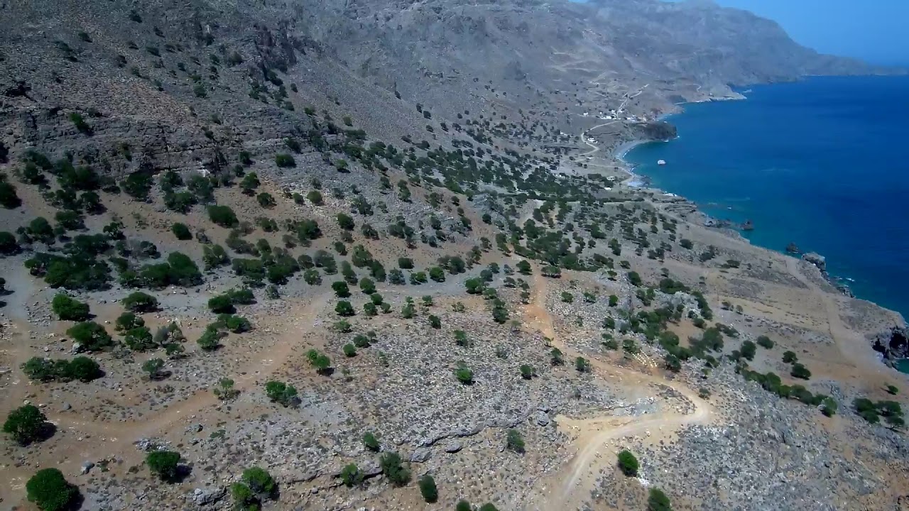 Χαρουπόδασος - Τρεις Εκκλησιές
