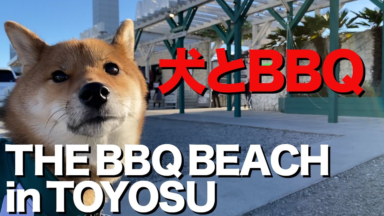 犬と豊洲でバーベキュー「THE BBQ BEACH in TOYOSU」