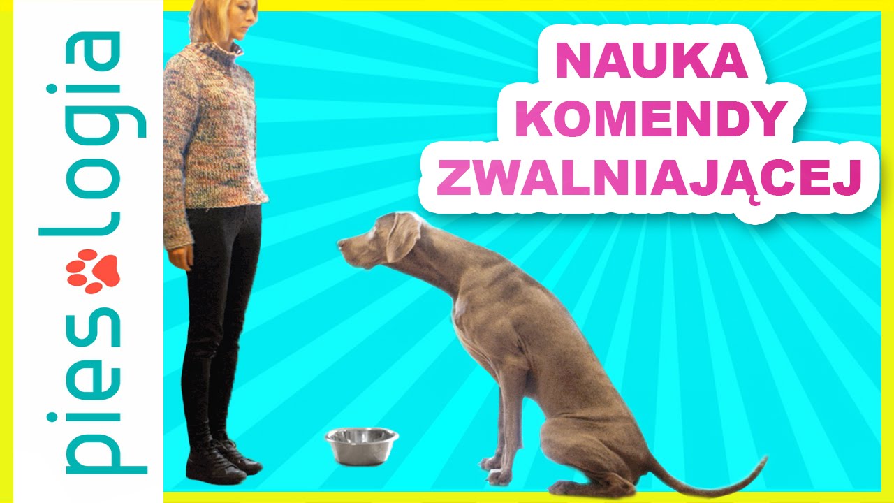 Nauka komendy zwalniającej