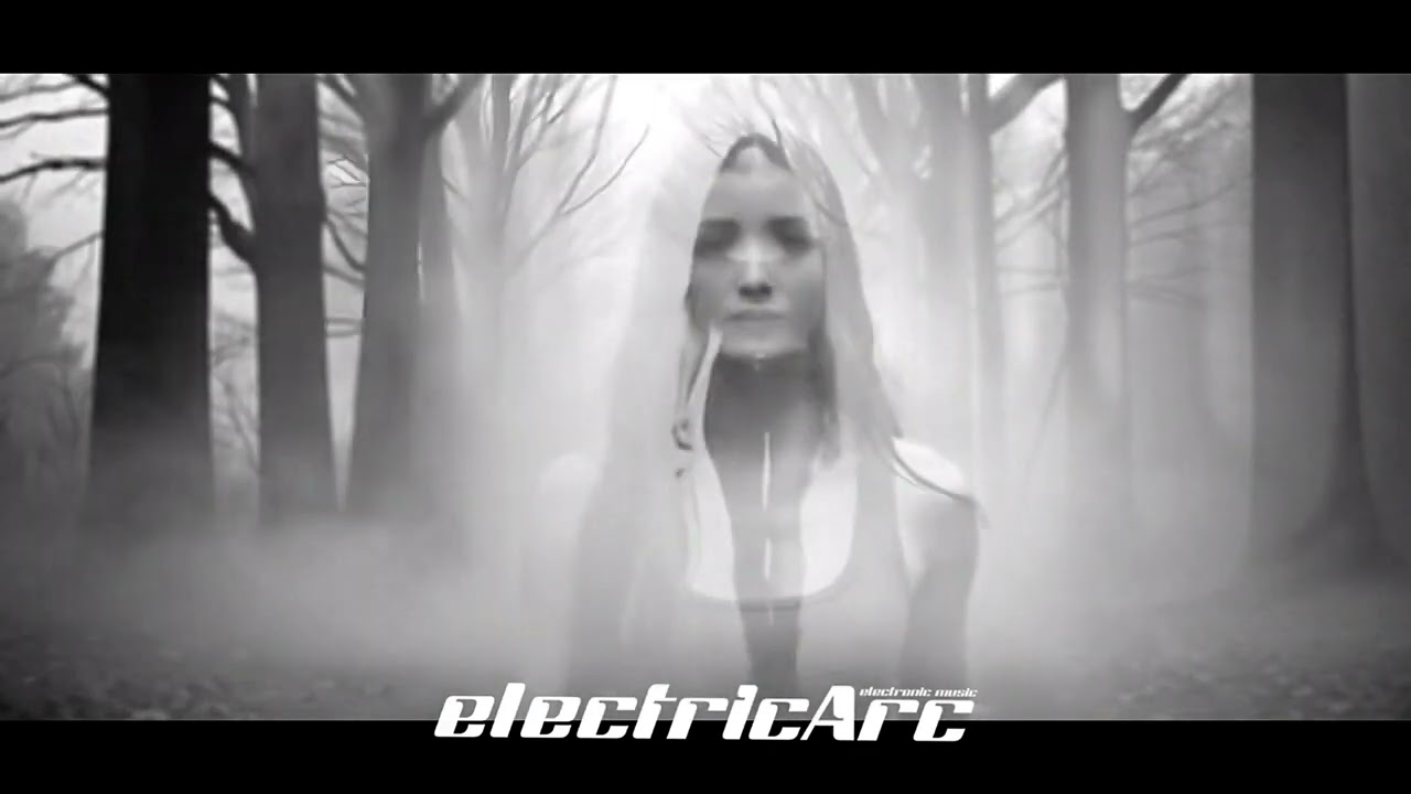 In the Dark Forest