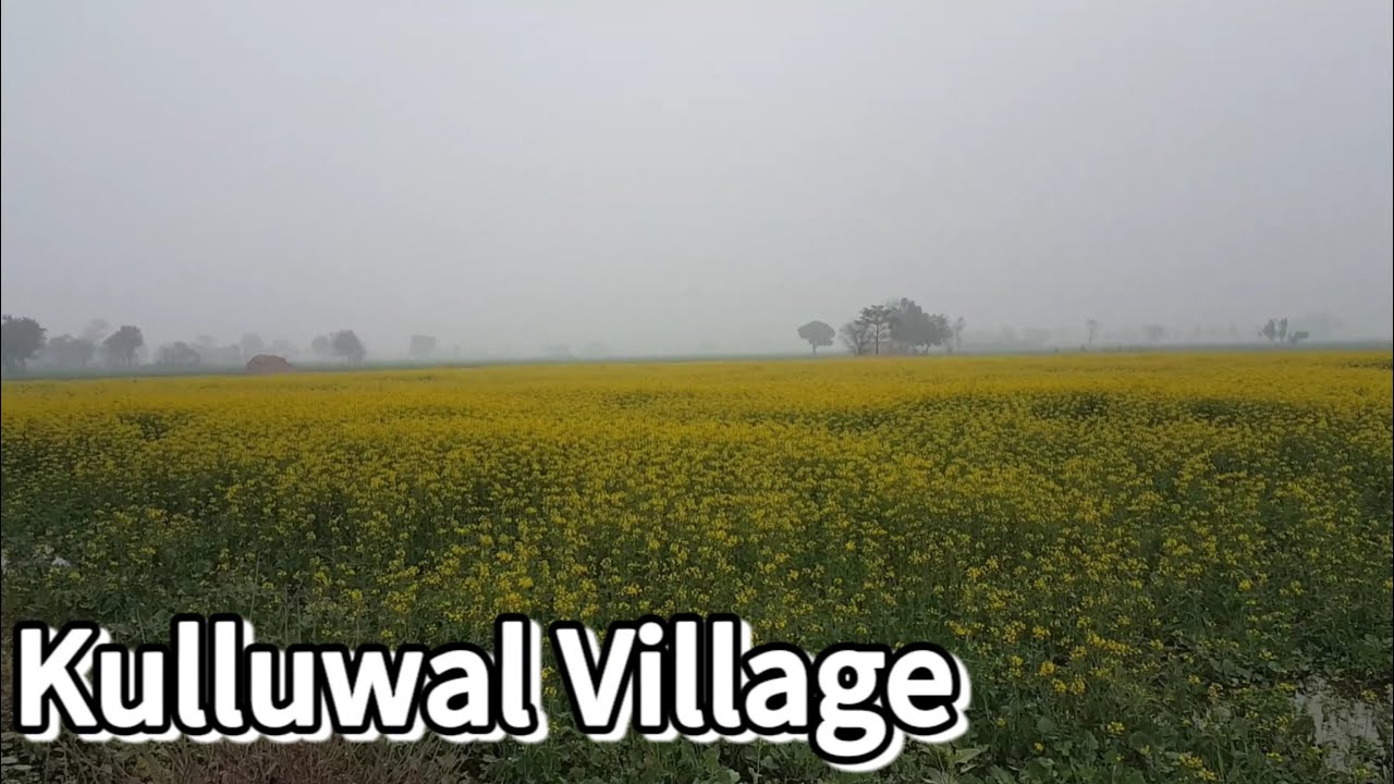 Fog mein Kulluwal Village ka Tour