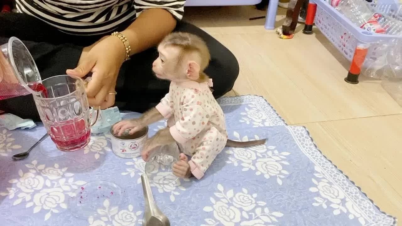 Obedient Baby DAM Very Attentively Watch Making Syrup For Him Drink