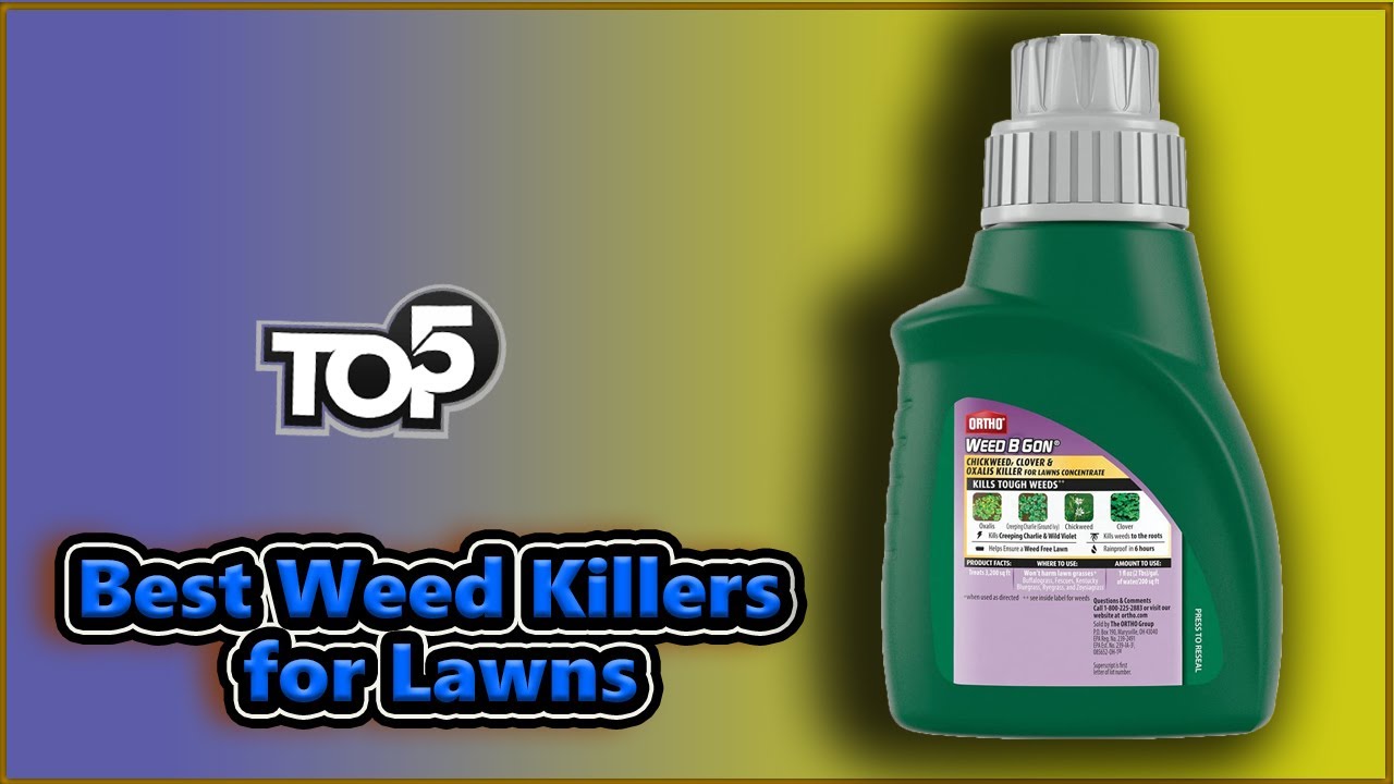 ✅ Best Weed Killers for Lawns | Top 5 Pikes For All Time