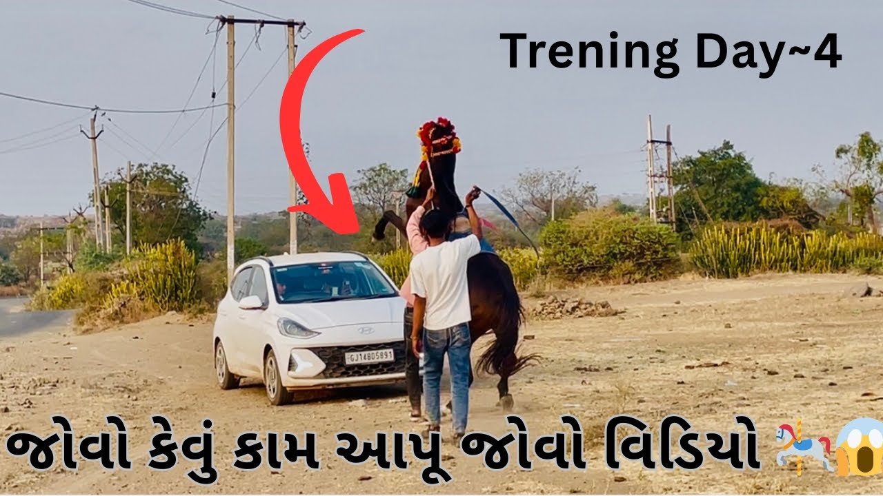 જોવો કેવૂ કામ આપું જોવો વિડિયો? 😱🎠 Trening Day~4