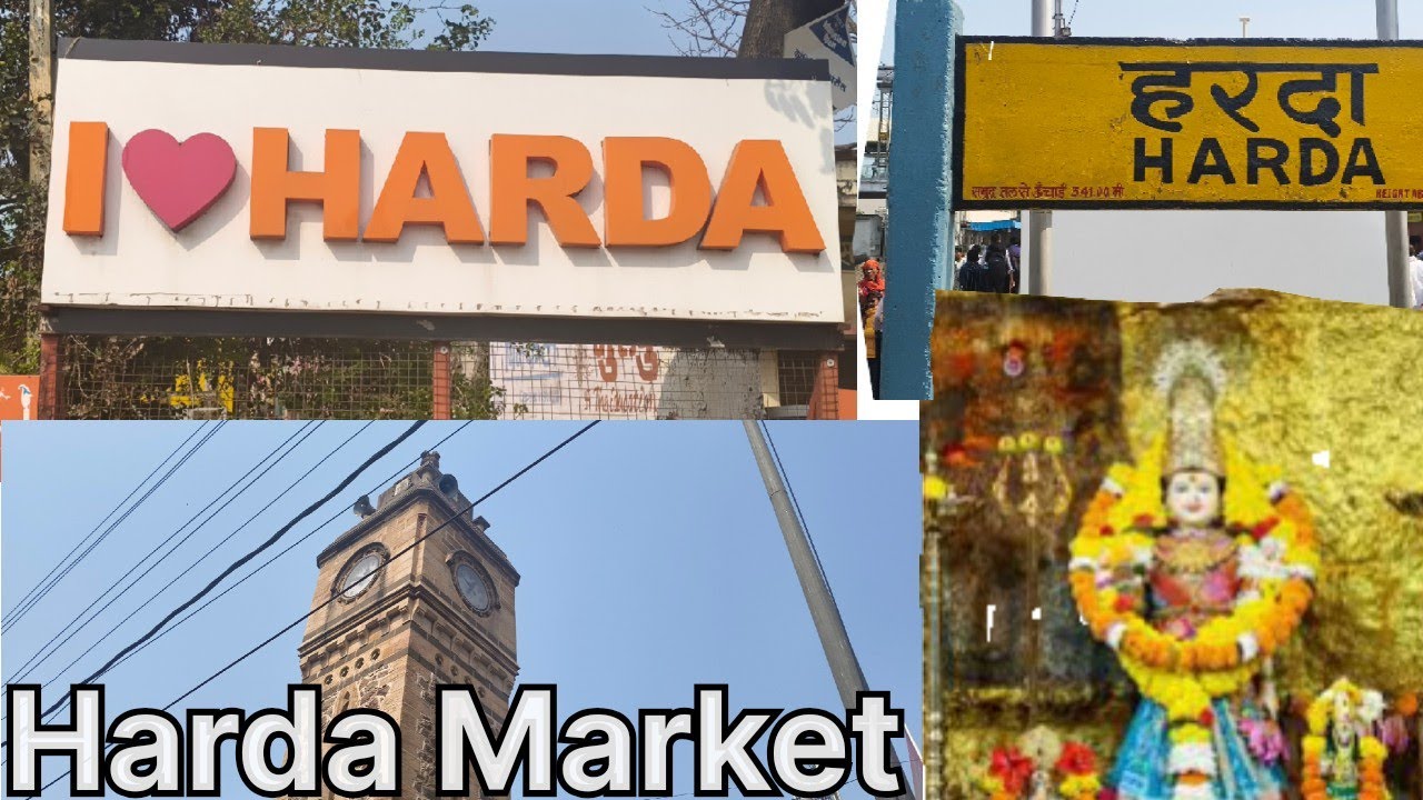 Harda Market Sales Vlog |Sheher me Business Reality | Madhya Pradesh Travel + Sales Day Chapter -05