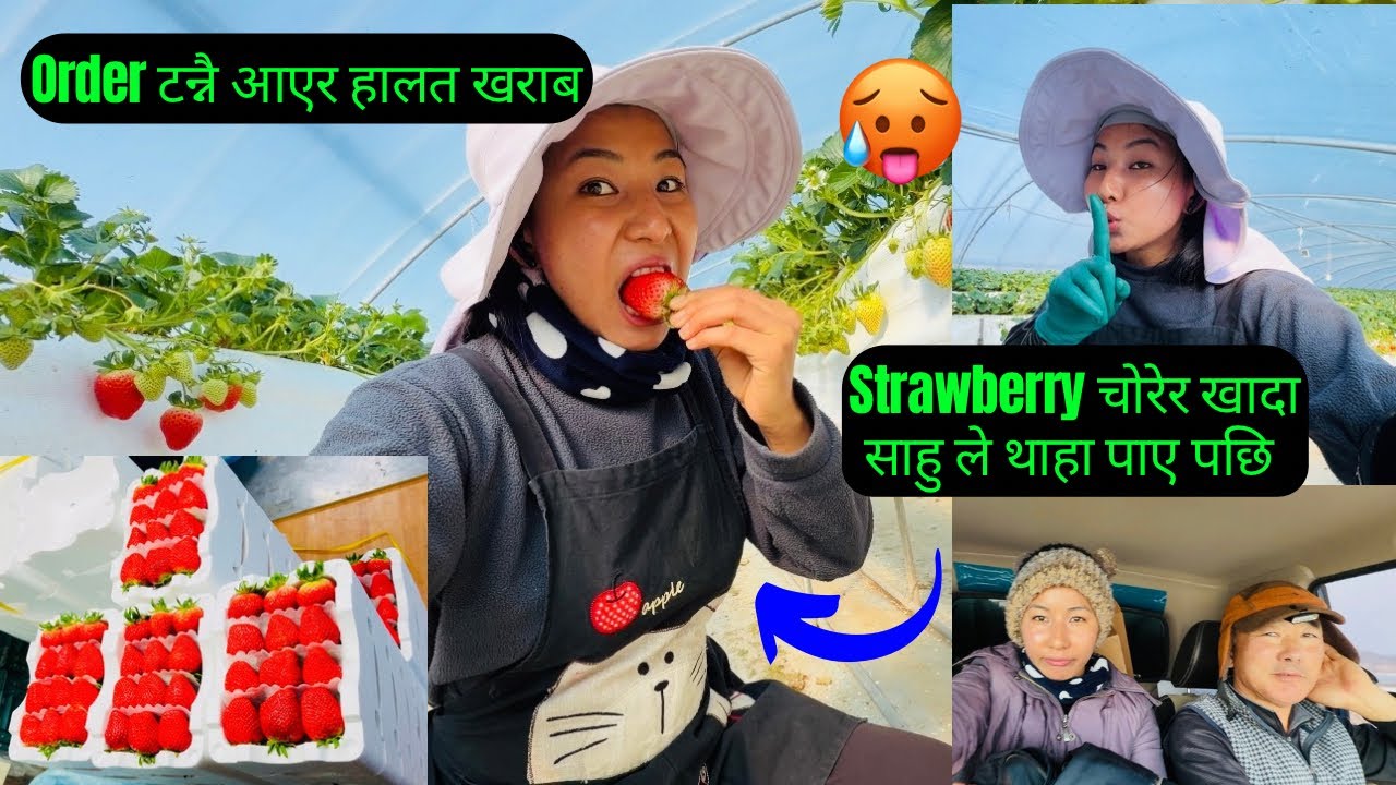 STRAWBERRY JATTI KHAYENI AGAUDAINA 😁|| SAU GHATAMA JANE VYO 😳|| #praceetalama #korea #eps #nepal 