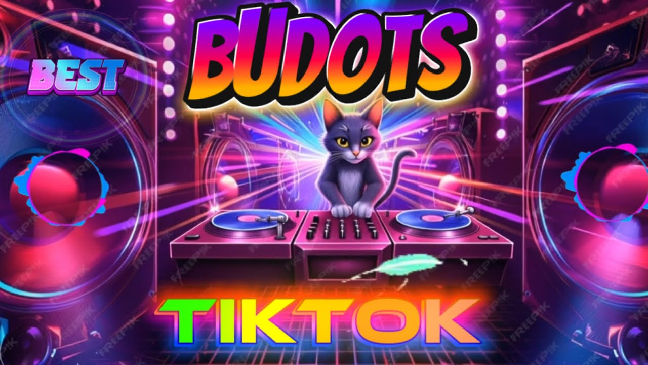 BEST BUDOTS TIKTOK 2025 DISCO PARTY