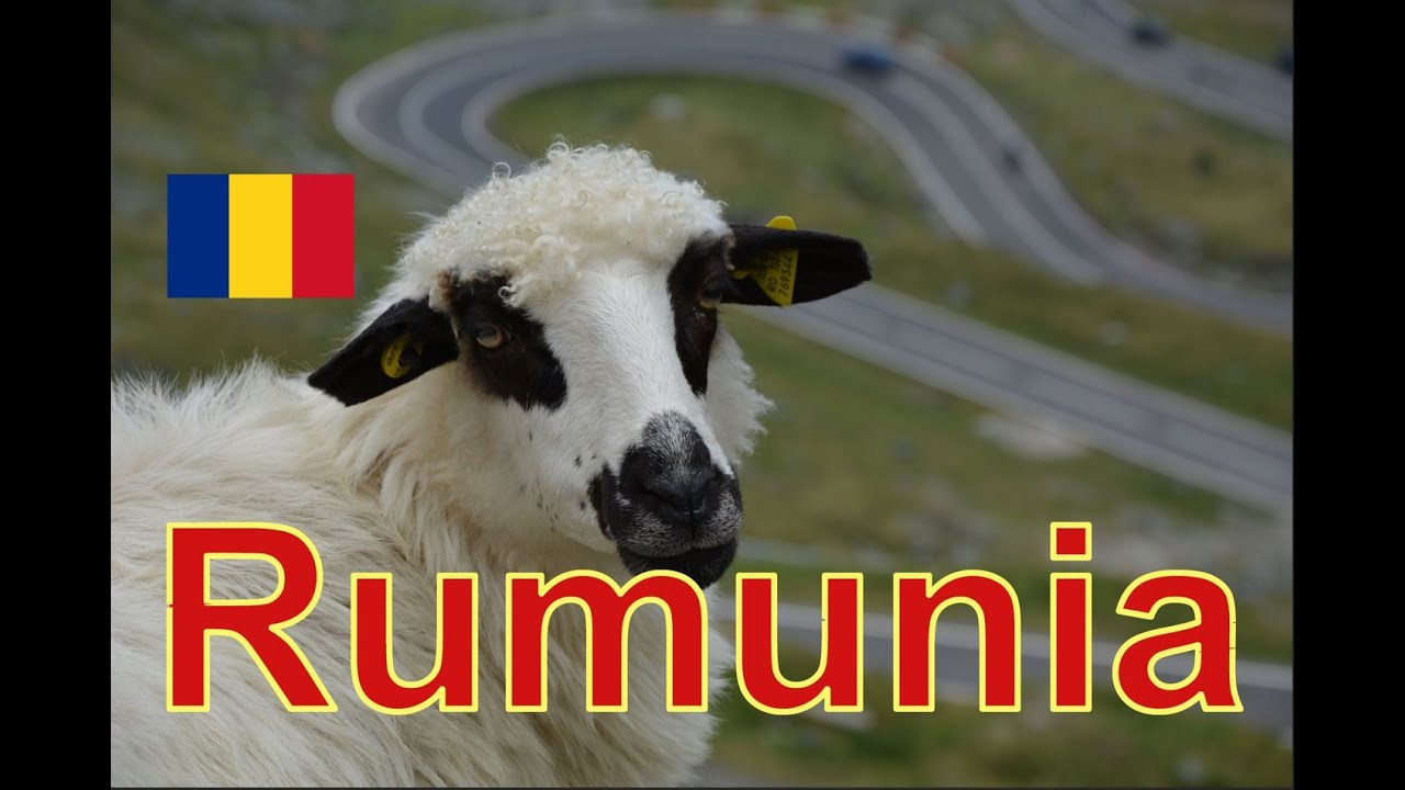 Rumunia - Kraj, który każdego pozytywnie zaskoczy / Videoblog odc. 3