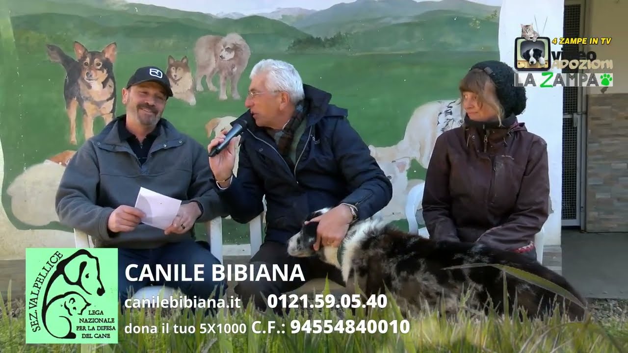 LEGA DEL CANE BIBIANA (114) Puntata 1548