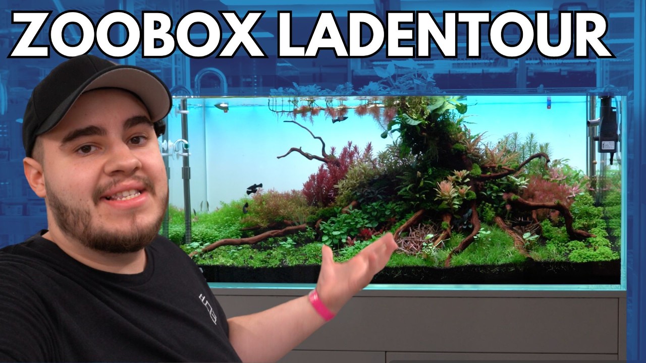 Krasser Aquarium Laden in Deutschland! ZOOBOX