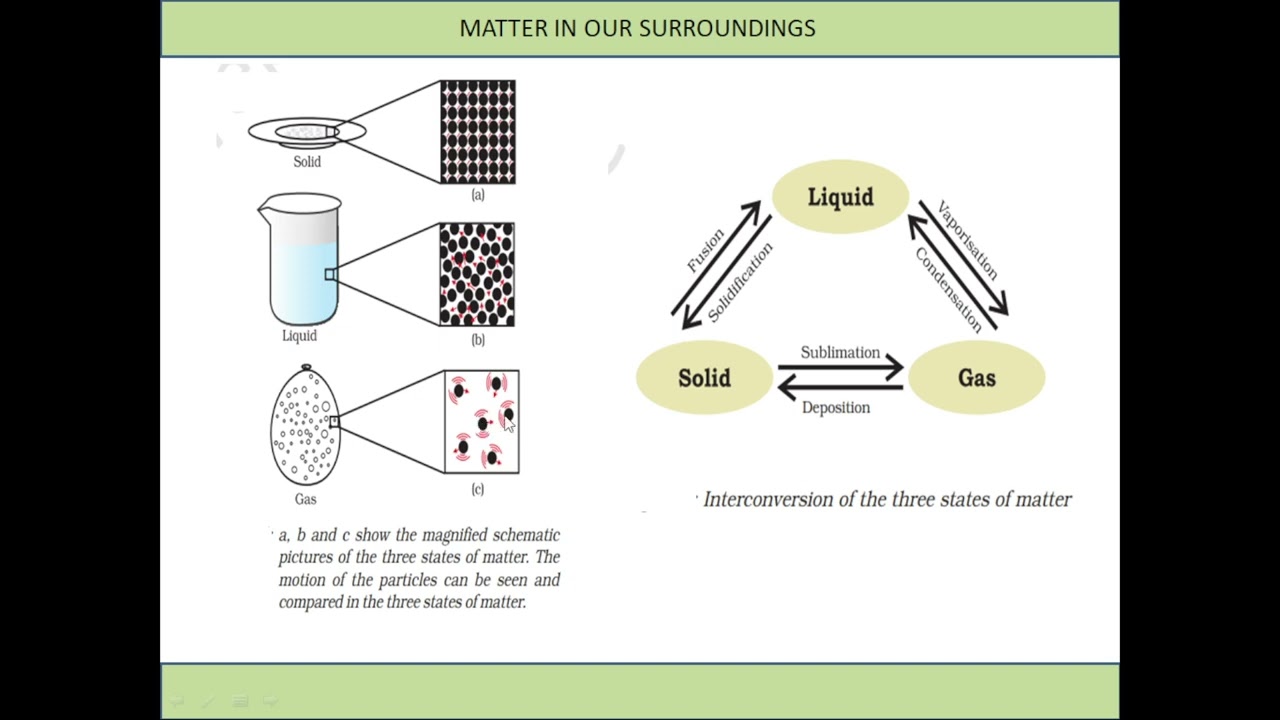 Class 9th Science Summary for UPSC, State PCS, SSC & Government Exams | NCERT Made Easy!