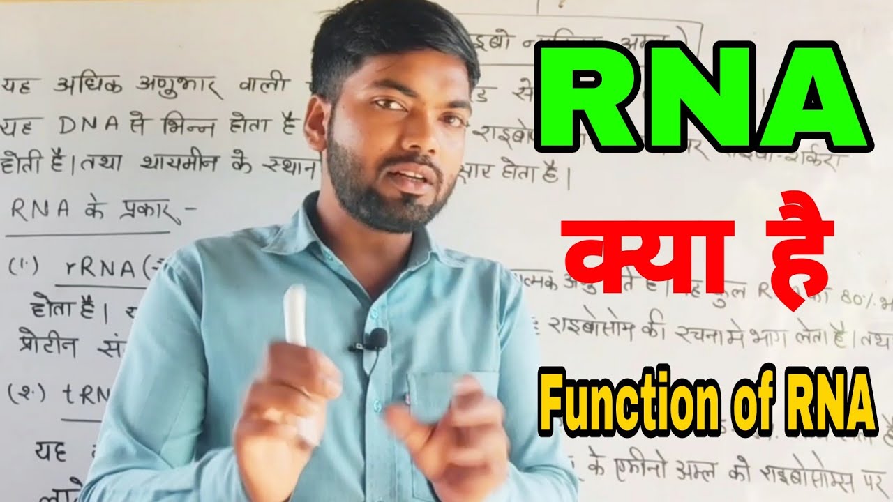 आर. एन. ए. क्या है, what is RNA, Function of RNA, ribos nucleic acid, rna kya hota hai