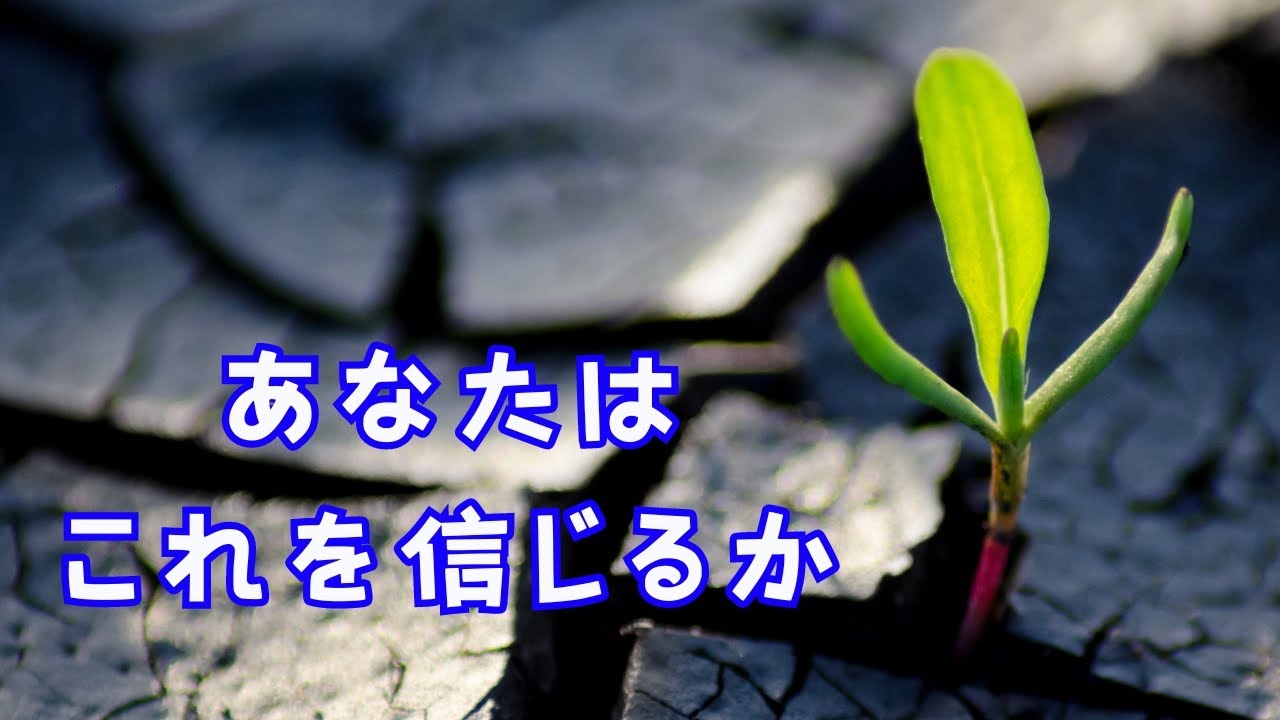 【字幕】あなたはこれを信じるか