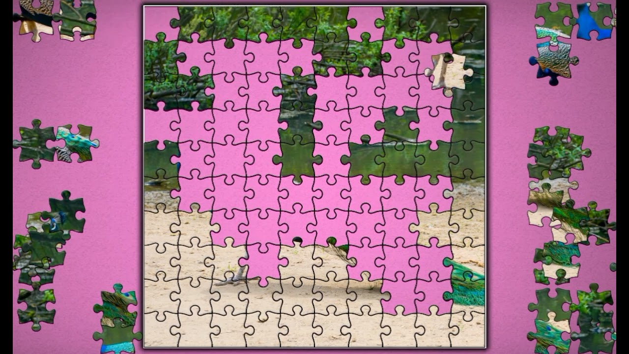 Beautiful Peacock🦚🦚 jigsaw puzzle🧩🧩 \\ @funpuzzle1122 