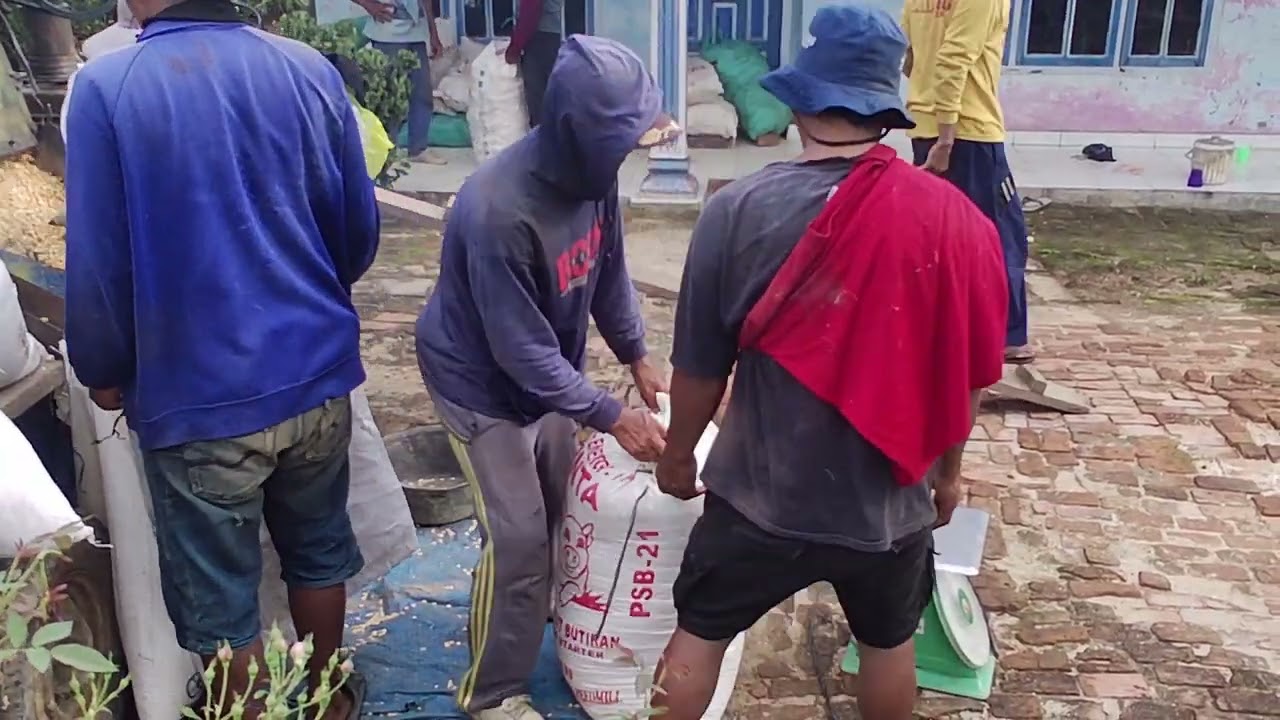 Giling jagung di Varia Blok Jogja. 