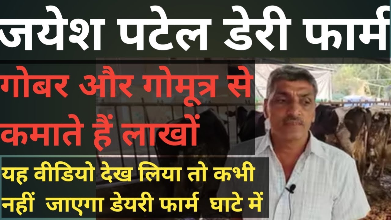 Jayesh Patel Dairy Farm||Best Successful Dairy Farmer