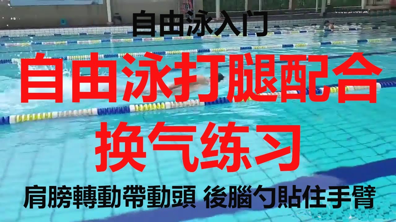 自由泳入门，打腿配合换气练习 Getting started with freestyle , kicking and breathing exercises