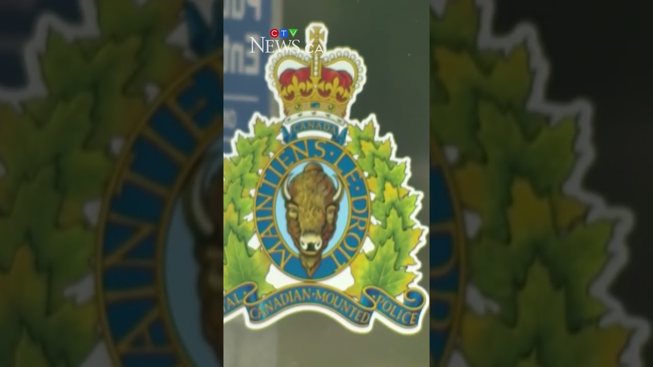 Двое подростков арестованы по подозрению в подготовке нападений на школы.