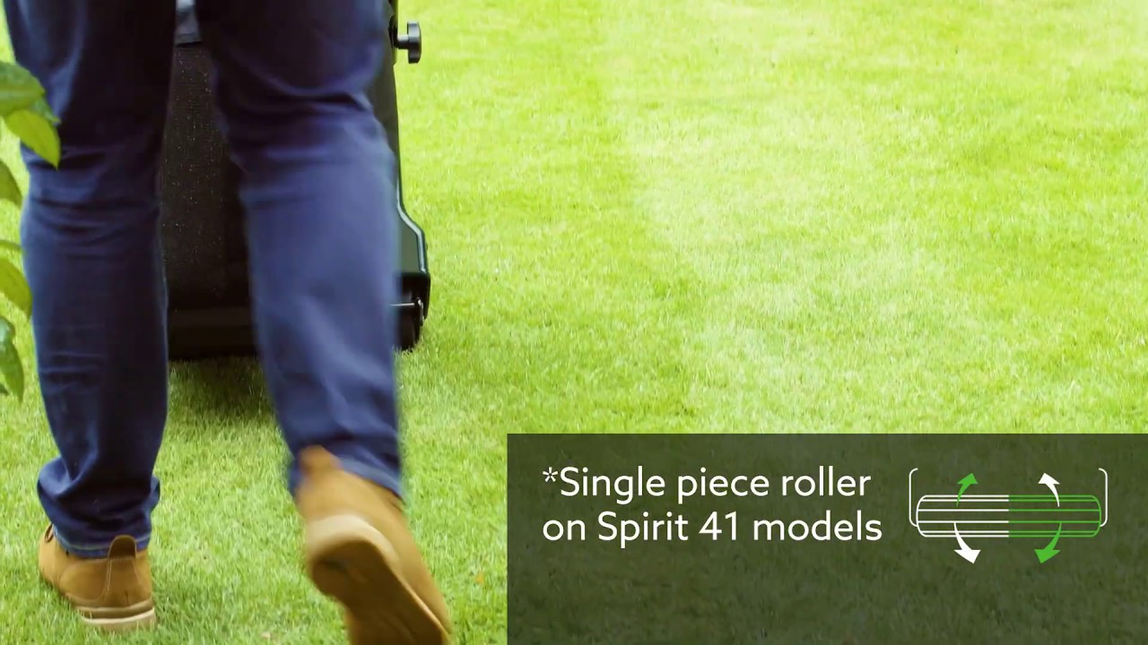 Creating the Perfect Stripped Lawn