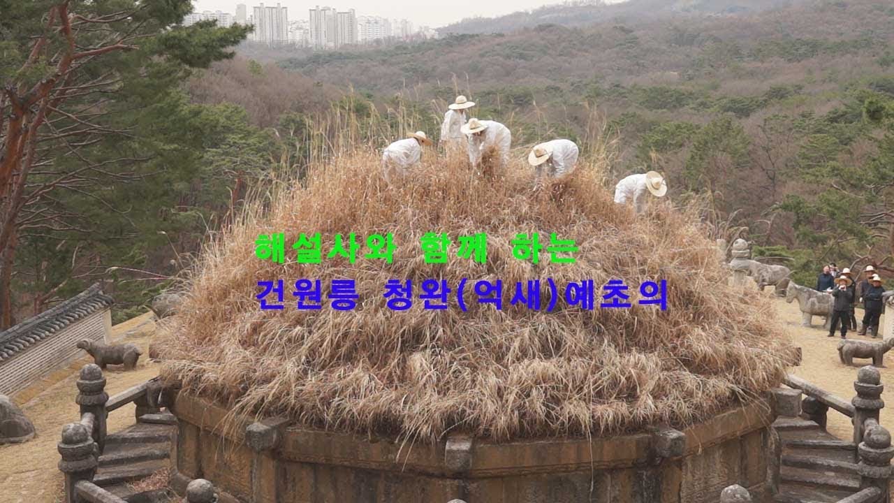 태조 이성계릉  억새   청완예초의