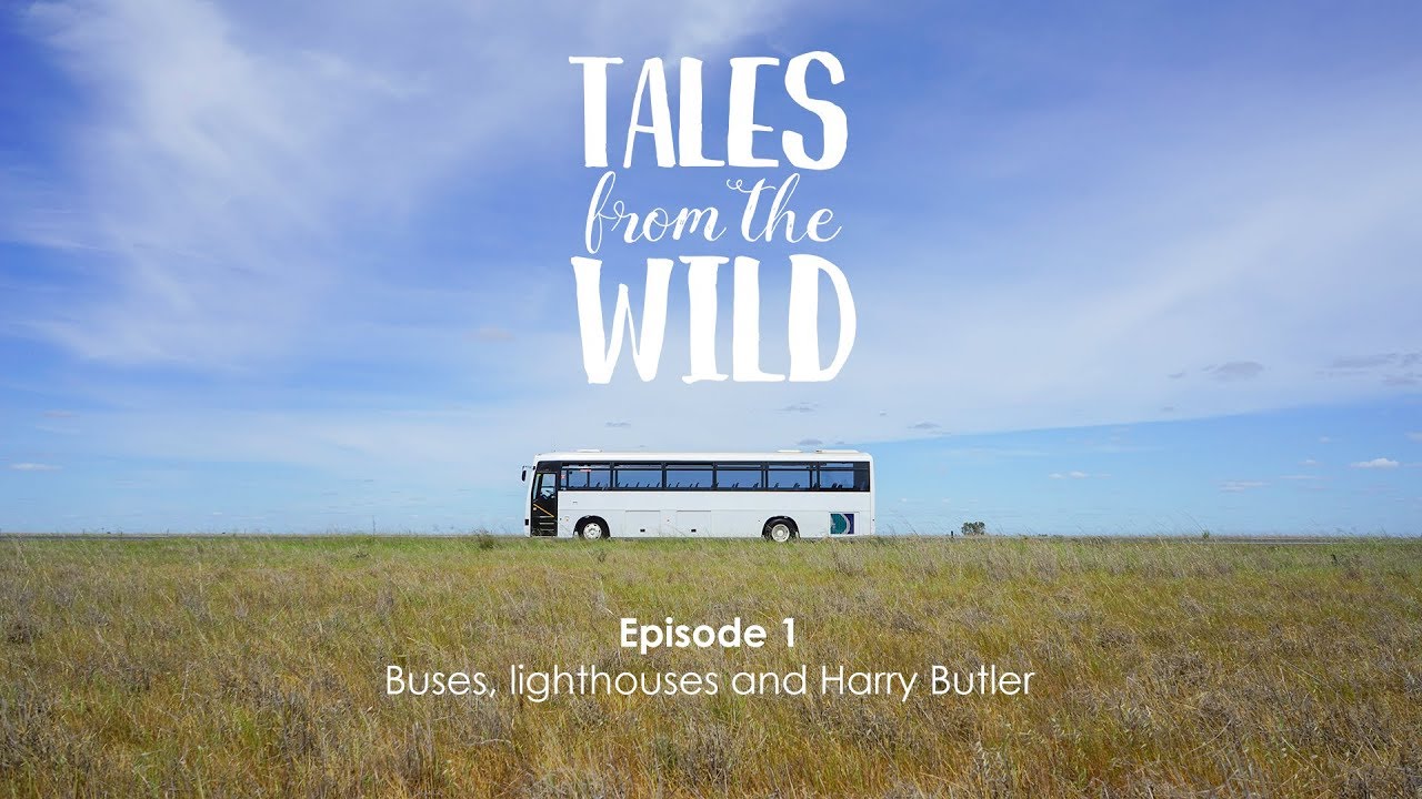 Choosing bus life for our family - Tales From The Wild - Episode 1