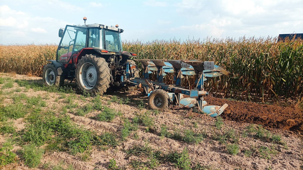#Vlog 133 Orki pod ozime Na 2 ciągniki / Massey vs 4 skiby 