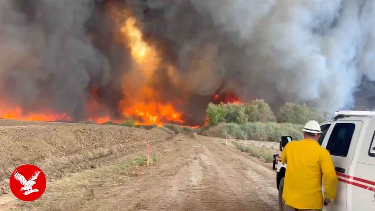 Huge Arizona wildfire '0  contained' after burning nearly 1,000 acres