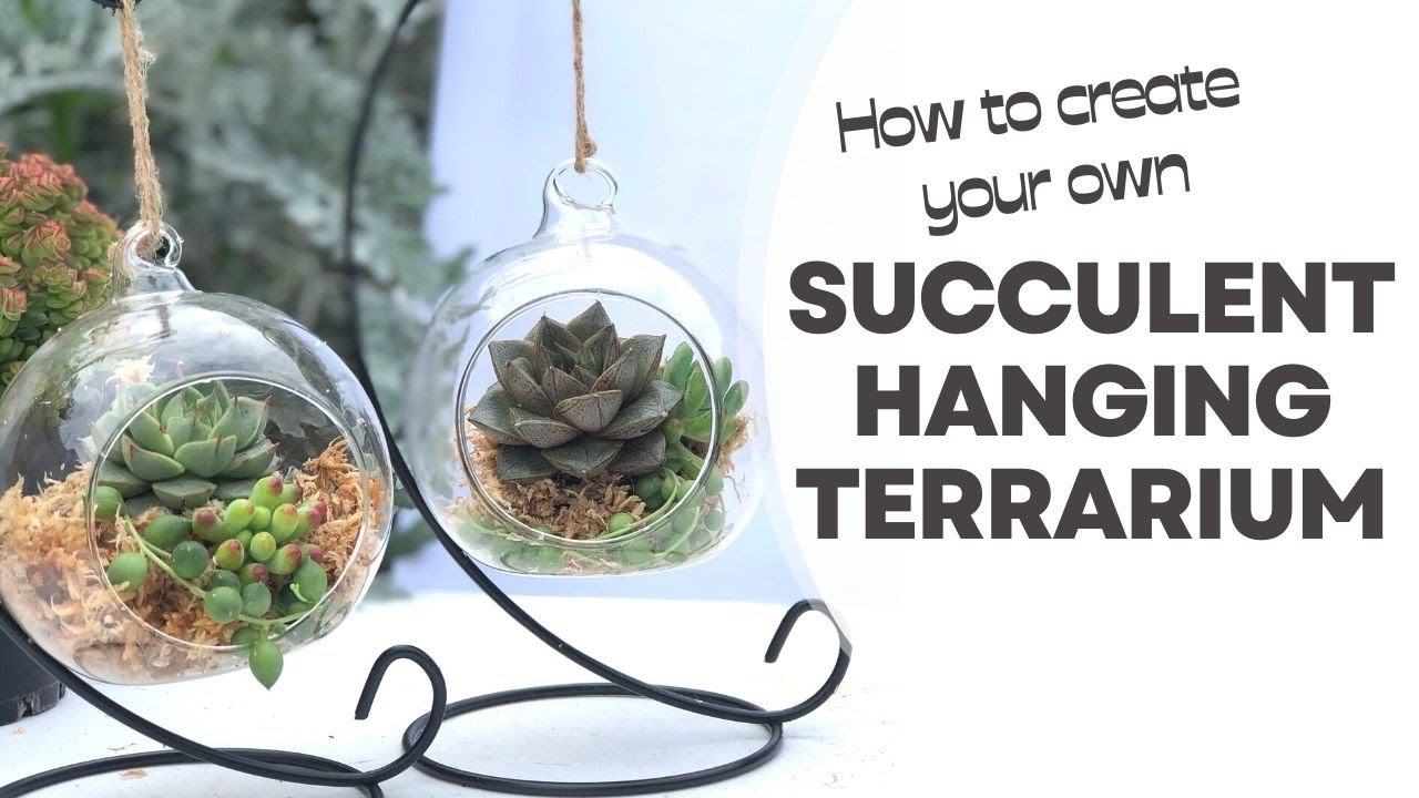 SUCCULENT HANGING TERRARIUM