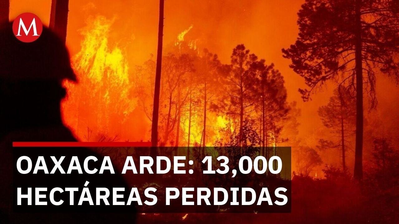 Grupos armados incendian intencionalmente la sierra de Oaxaca por conflictos de tierras
