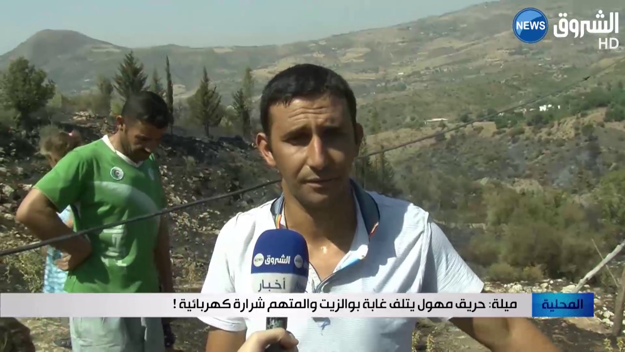 ميلة: حريق مهول يتلف غابة بوالزيت والمتهم شرارة كهربائية !