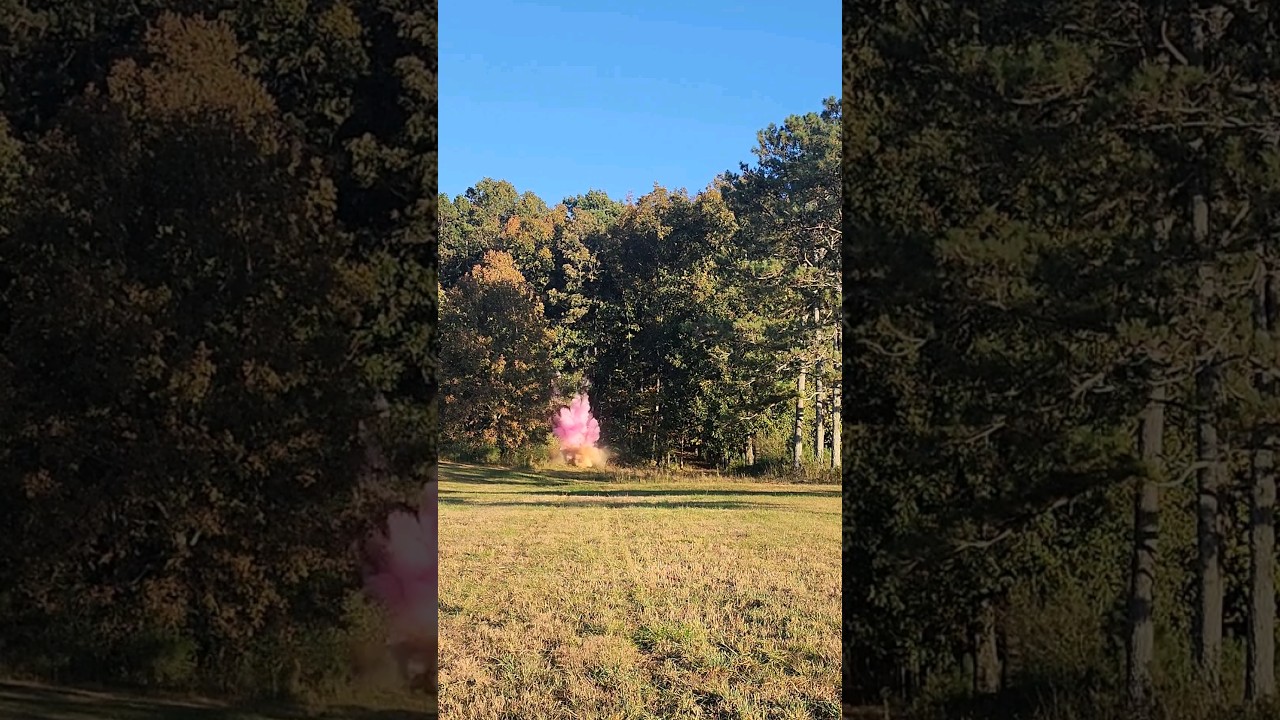 10LB of Tannerite gender reveal