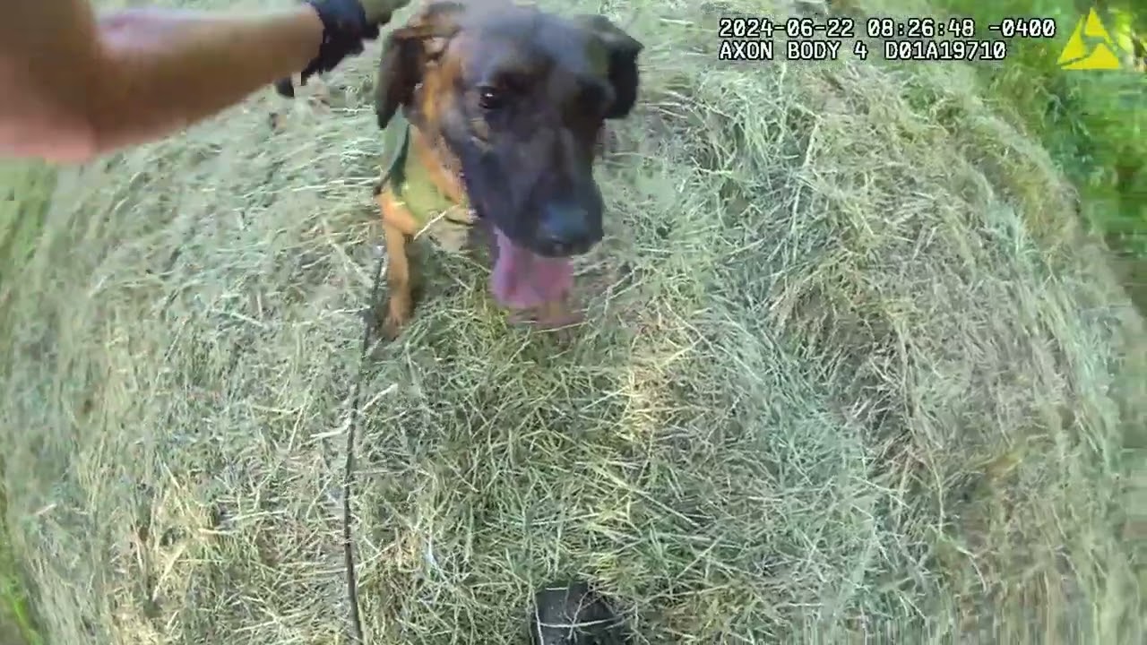 K-9 Pandora Finds Critical Missing Woman!