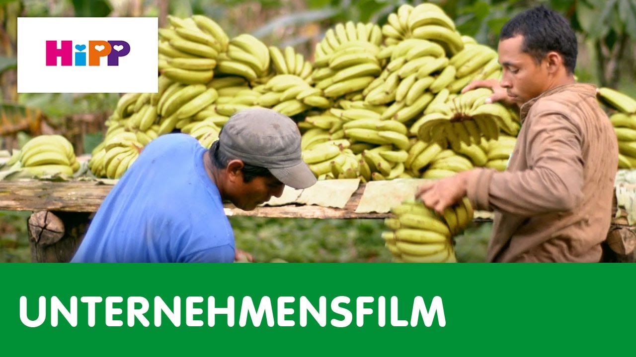 Bio Bananenanbau in Costa Rica