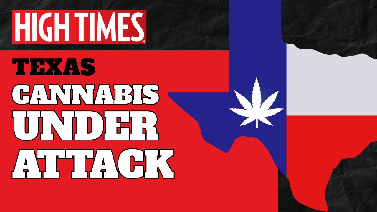 Texas Built a Cannabis Empire &mdash; Now It&rsquo;s Under Attack | Texas Cannabis Chronicles (Trailer)